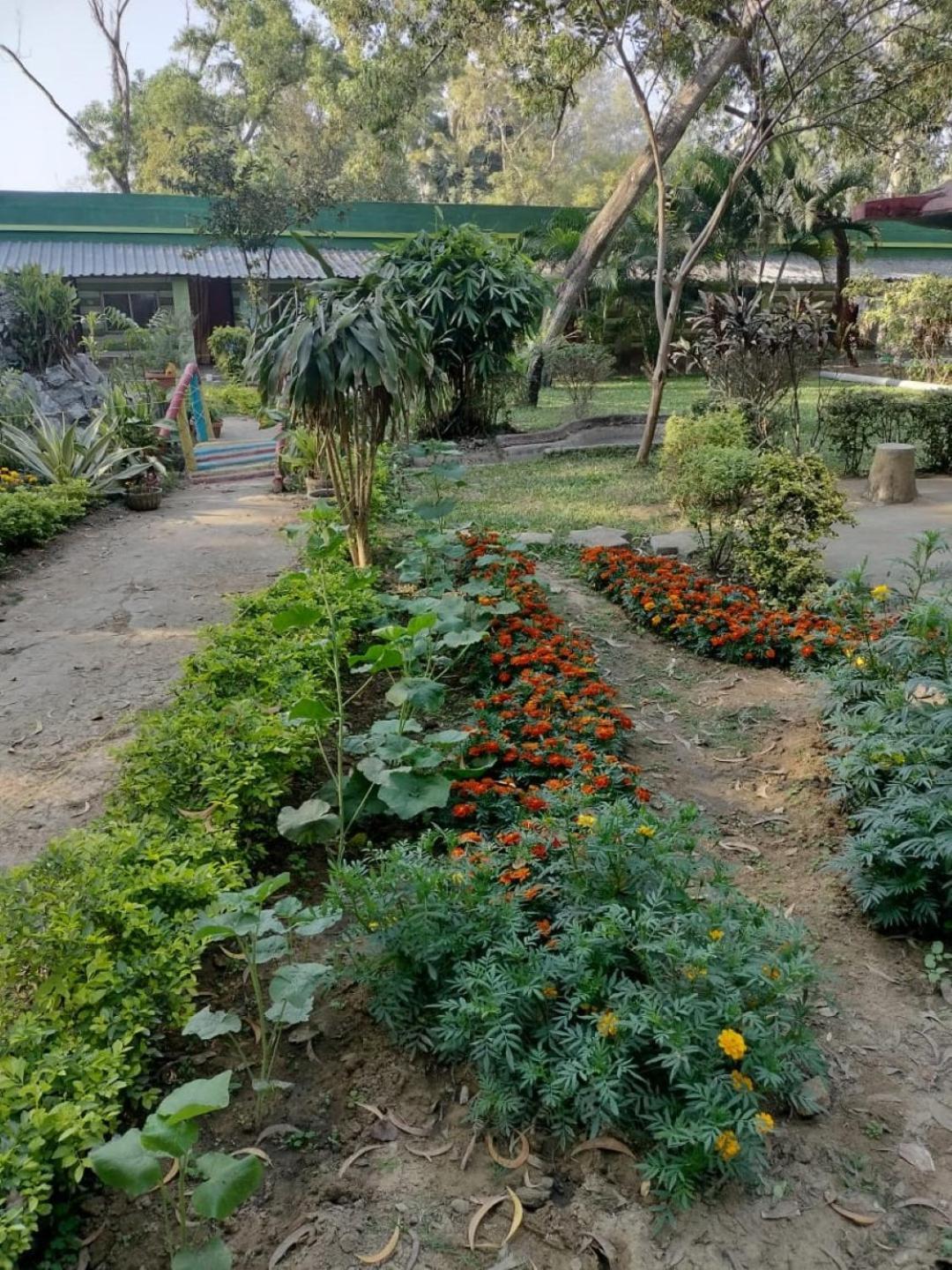 Lucky Beach Resorts , Balasore Chandipur Εξωτερικό φωτογραφία