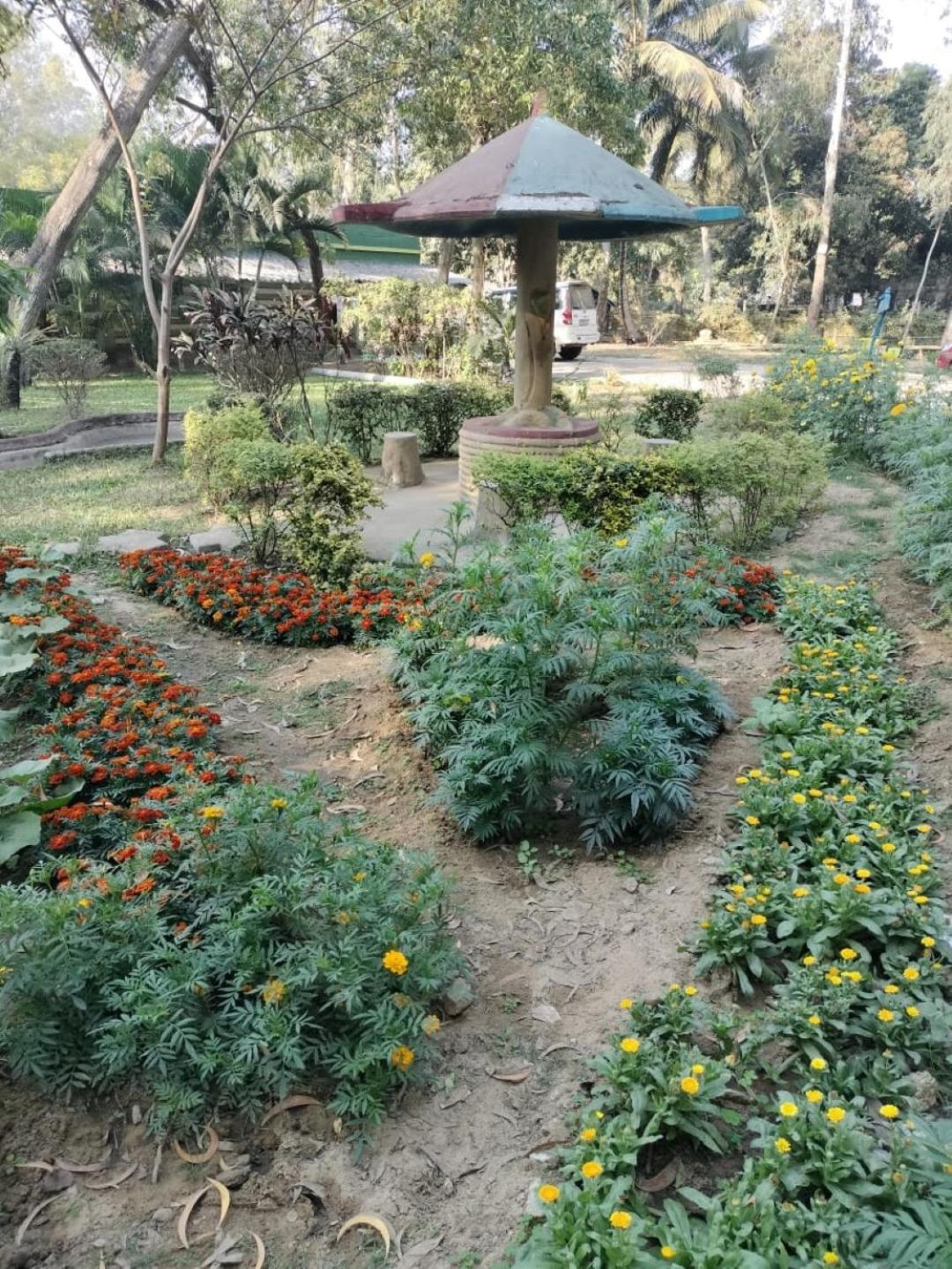 Lucky Beach Resorts , Balasore Chandipur Εξωτερικό φωτογραφία