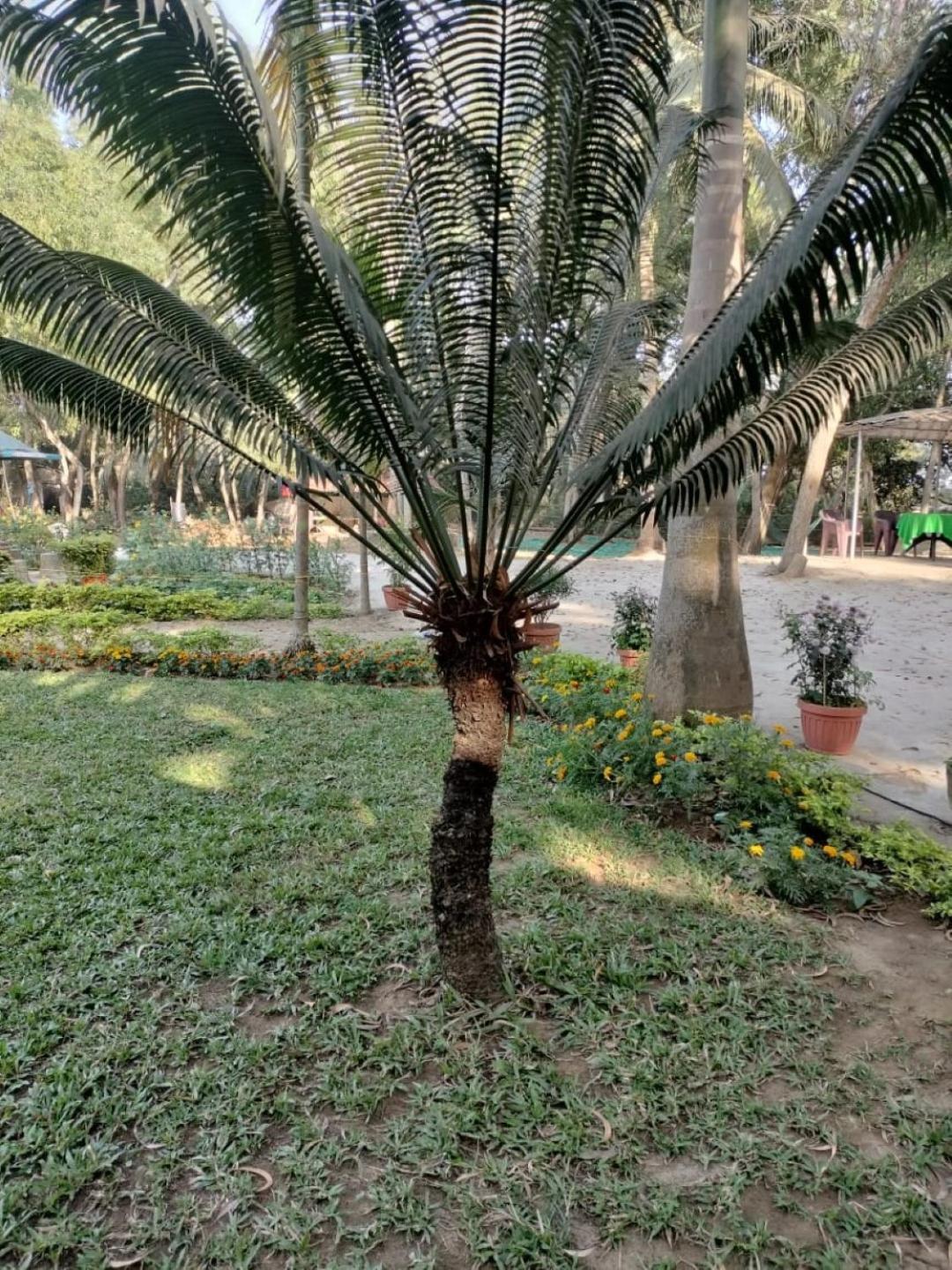 Lucky Beach Resorts , Balasore Chandipur Εξωτερικό φωτογραφία